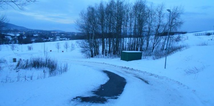 Areál Vesec - úprava stop 20. 1. 2021 - úvodní obrázek